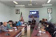برگزاری دومین جلسه وبیناری مسئولین ستادی و شهرستانی 